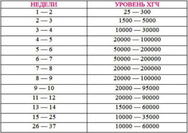 Хгч вырос а потом упал в начале беременности