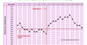 Овуляция и температура тела