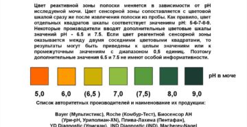 Ph 6 5 мочи