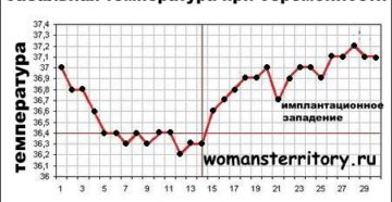 До какого срока при беременности держится температура 37