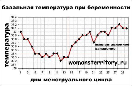 До какого срока при беременности держится температура 37
