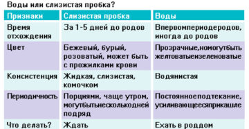 Через сколько начинаются роды после отхождения слизистой пробки