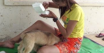 Девушка кормит щенка грудью