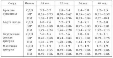 Кровоток в артерии пуповины норма в 27 недель