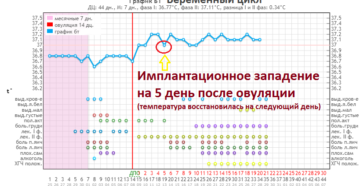 На какой день после овуляции происходит имплантация форум