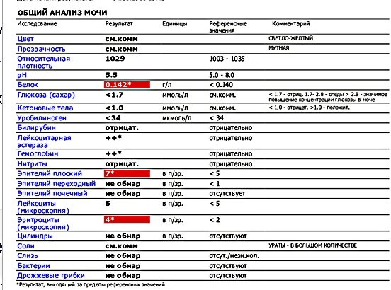 Лейкоцитарная эстераза в моче при беременности следы