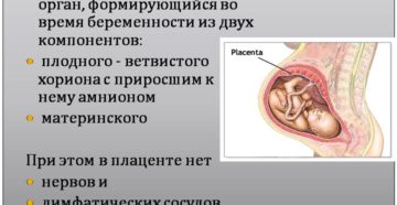 При беременности неоднородная плацента