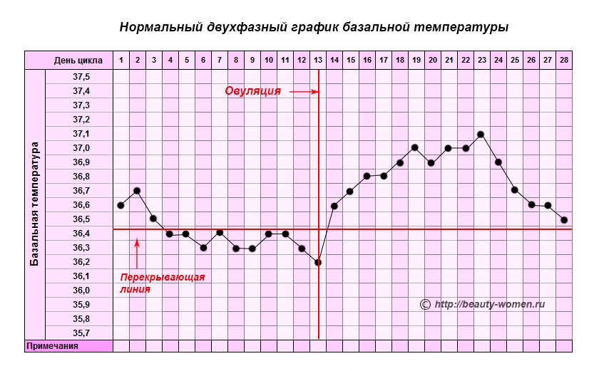 Какая должна быть температура базальная в день овуляции