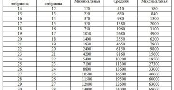 Хгч после переноса 5 дневок на 14 день