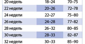 Ож беременности по неделям