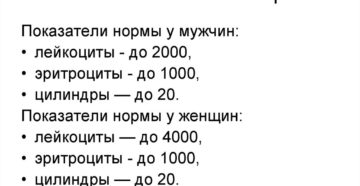 Что такое анализ мочи по нечипоренко при беременности