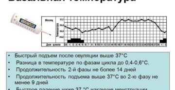 Температура после овуляции повышенная