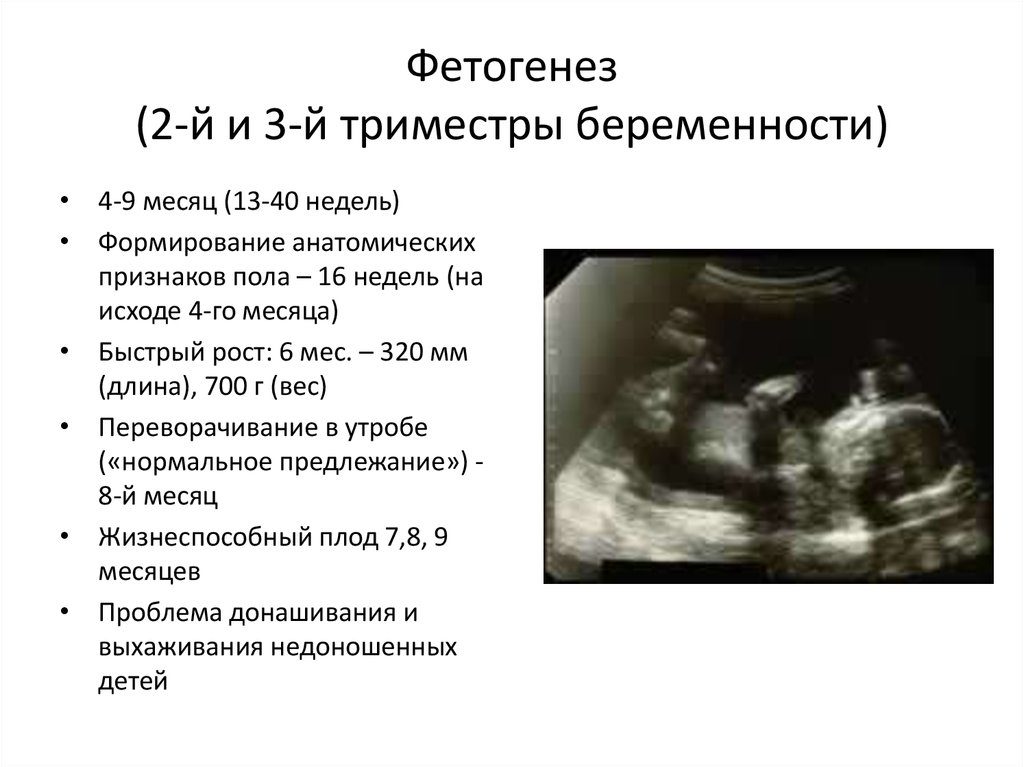 Признаки на 4 недели беременности