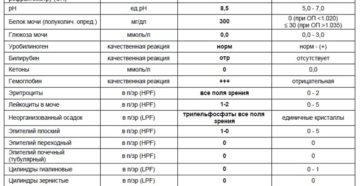 Повышен плоский эпителий в моче при беременности