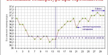 Как снизить температуру при беременности на ранних сроках