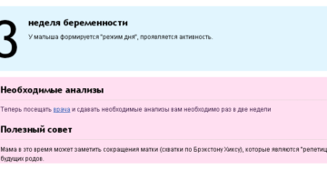 23 неделя беременности это сколько месяцев беременности