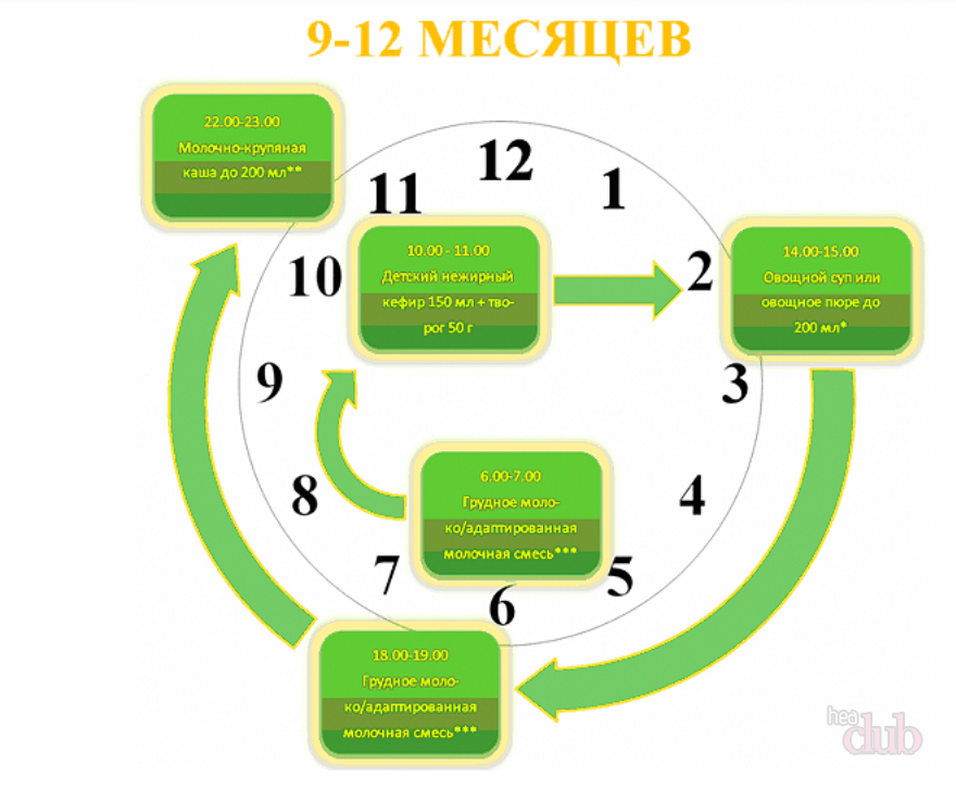 Введение прикорма по комаровскому