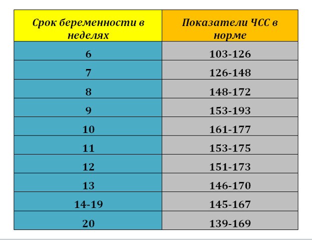 По ударам сердца плода можно определить пол ребенка