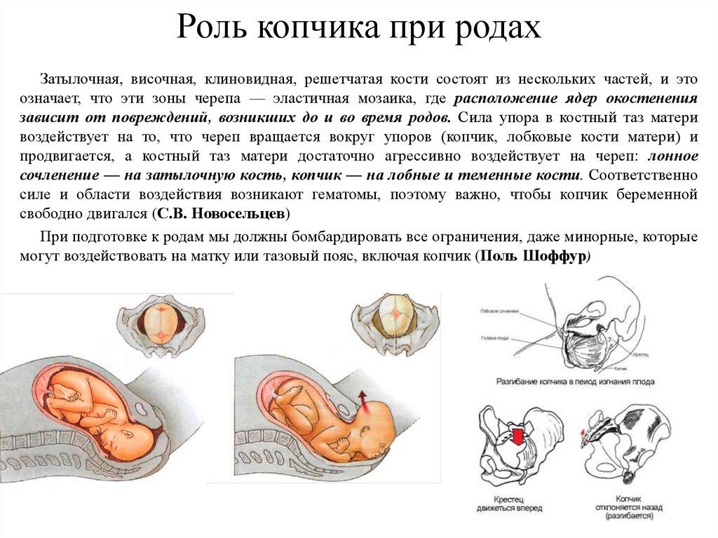 Болит копчик 40 недель беременности