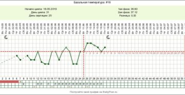 Овуляция при 25 цикле