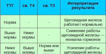 За что отвечает гормон т4 свободный у женщин