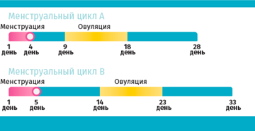 Как высчитать задержку месячных