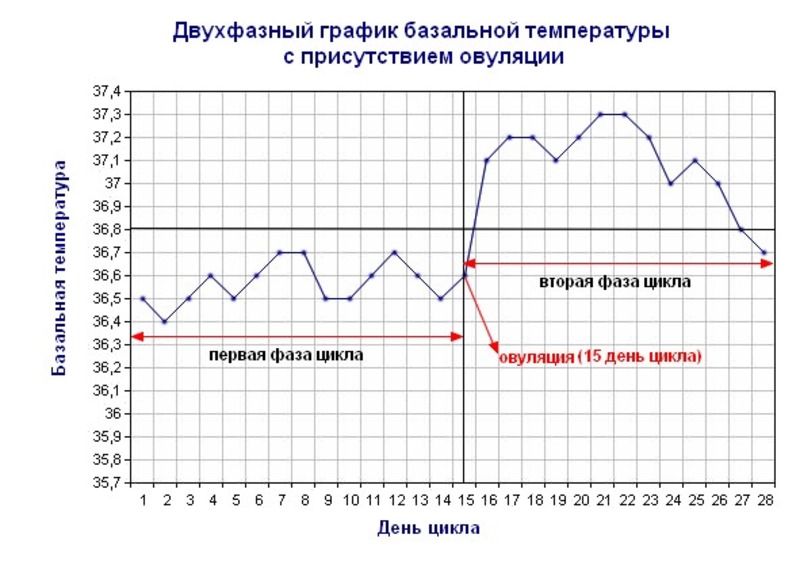 Базальная температура после овуляции если не произошло оплодотворение